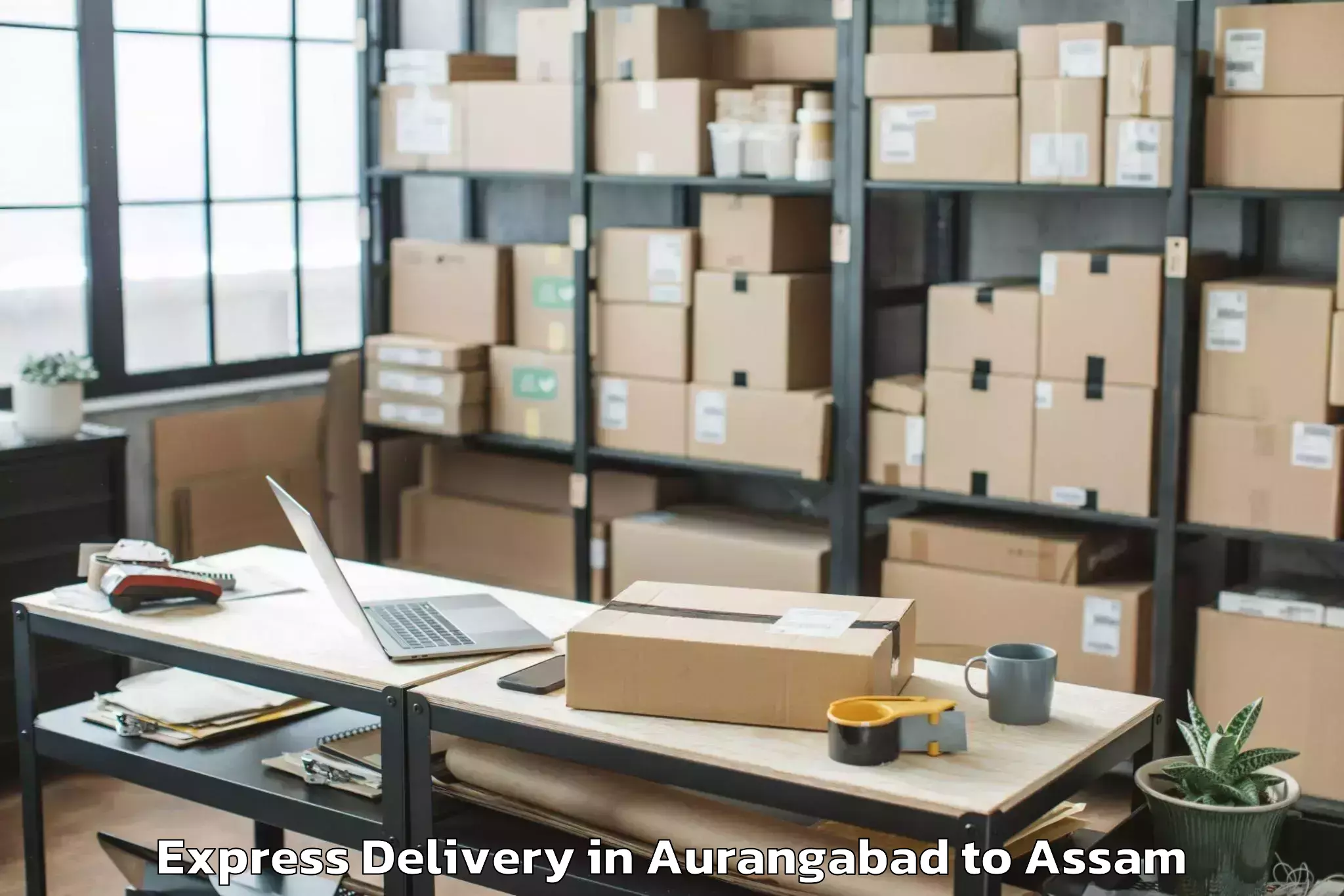 Leading Aurangabad to Amguri Express Delivery Provider